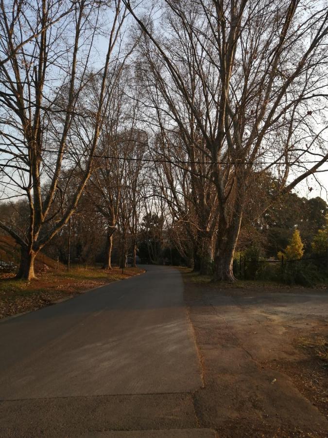 Cooper Cottage โฮวิค ภายนอก รูปภาพ